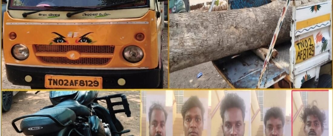 திண்டிவனத்தில் நன்கு வளர்ந்த 15 ஆண்டு கால தேக்கு மரத்தை வெட்டி கடத்திய 5 பேர் கொண்ட கும்பலை&nbsp; சுற்றி வளைத்த போலீசார்.